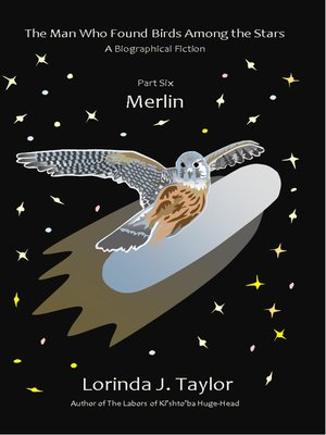 cover image of The Man Who Found Birds among the Stars, Part Six